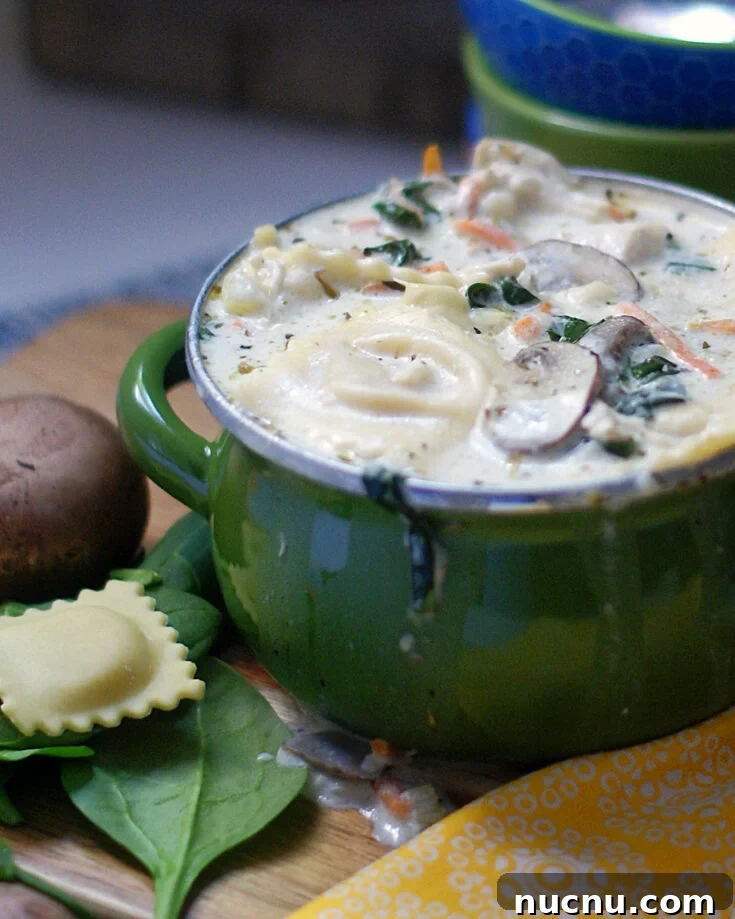 A full bowl of ravioli soup.