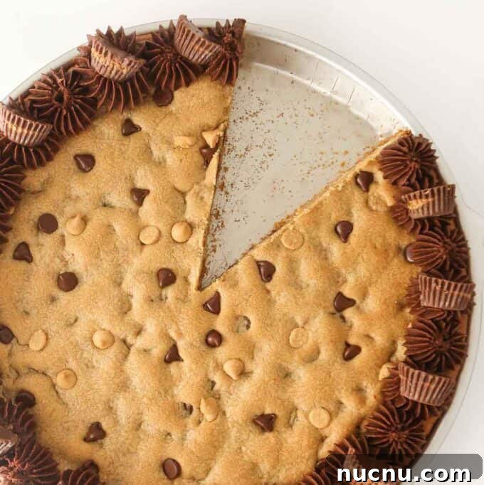 Chewy Peanut Butter Cookie Bars Recipe for Snack Lovers 10 peanut butter cookie cake