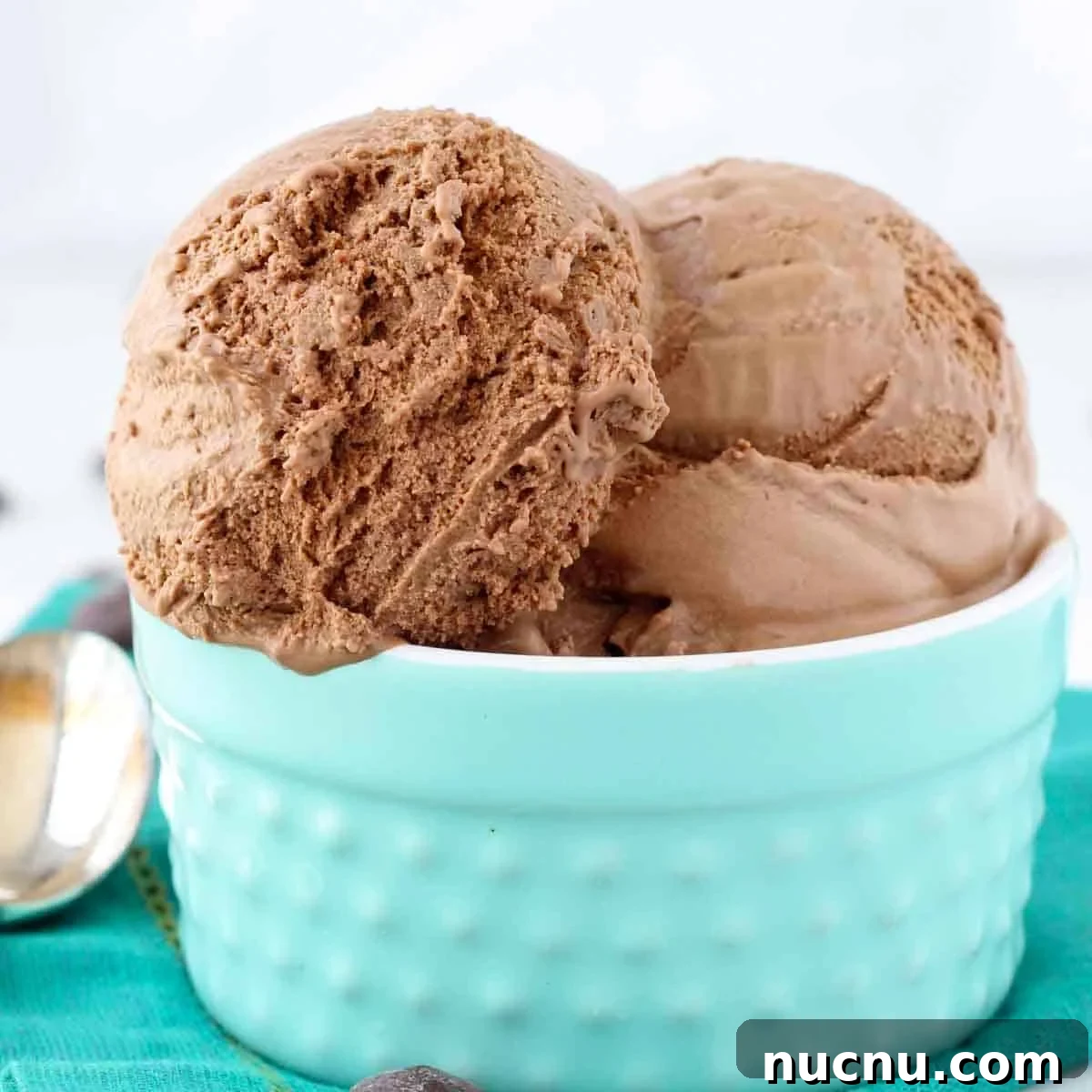 Homemade Rich Chocolate Ice Cream Recipe You’ll Love 4 img 3955 3