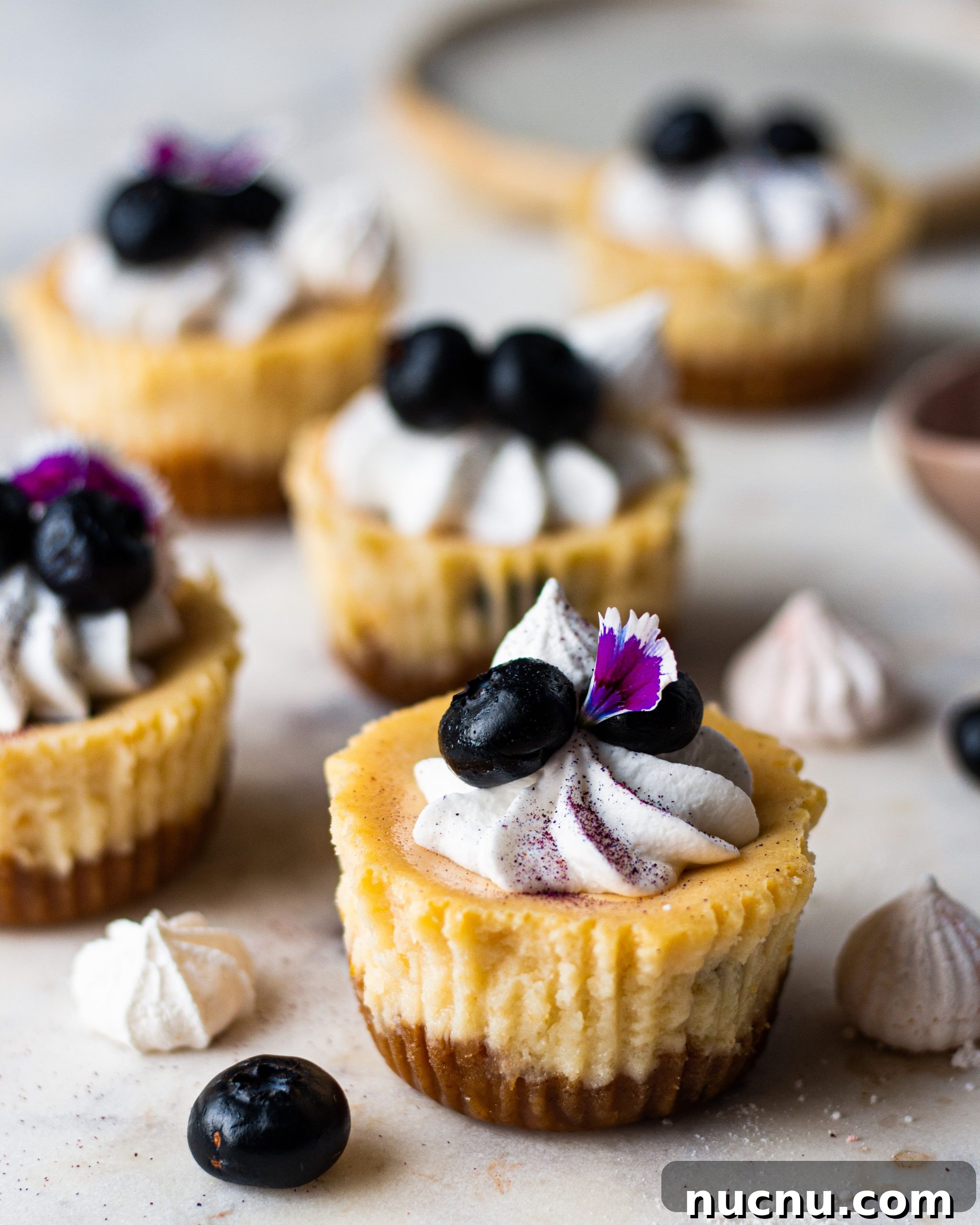 Eggless Blueberry Cheesecake Cups Recipe — No-Bake Individual Desserts 3 eggless bluberry cheesecake recipe