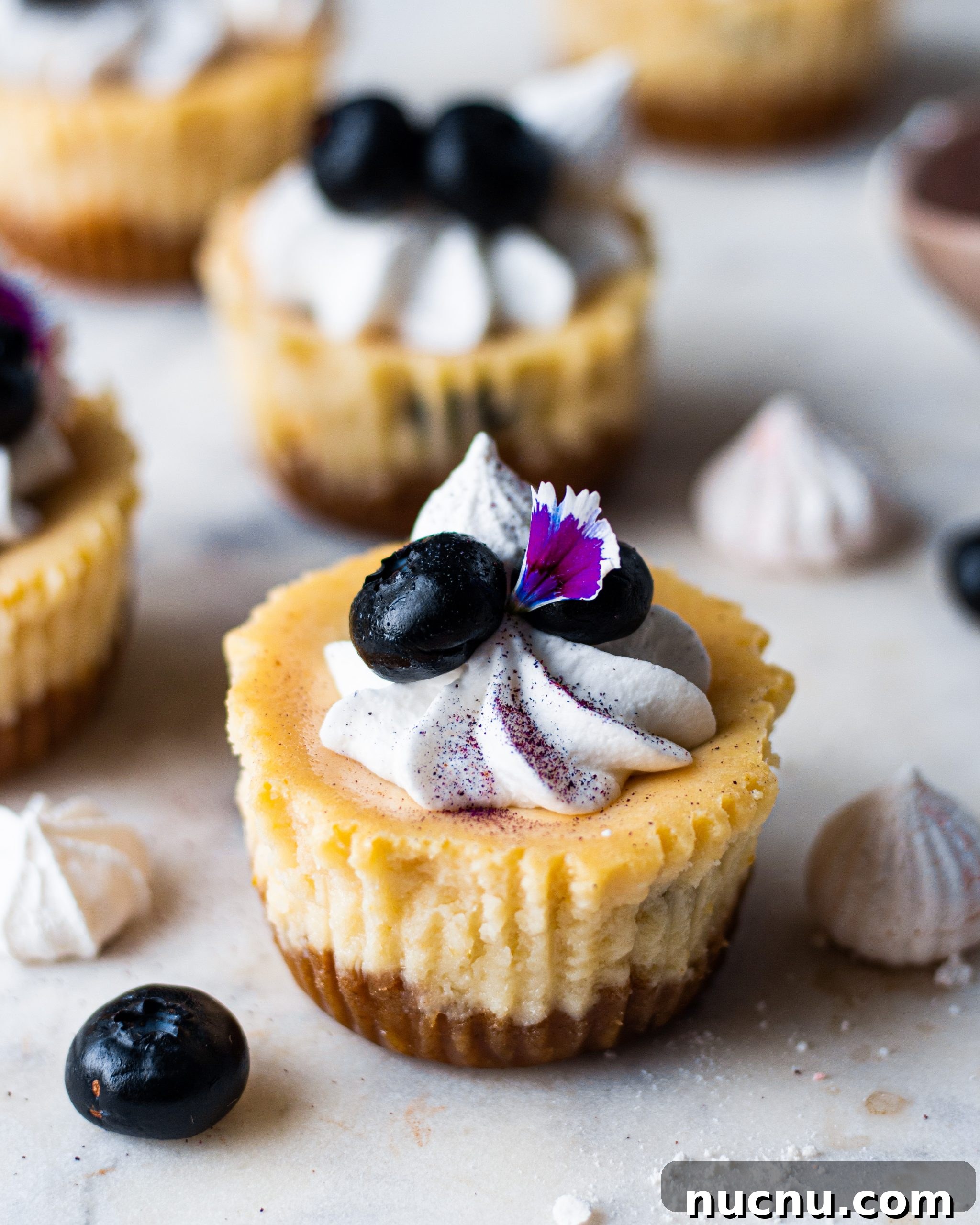 Eggless Blueberry Cheesecake Cups Recipe — No-Bake Individual Desserts 4 bluberry cheesecake recipe
