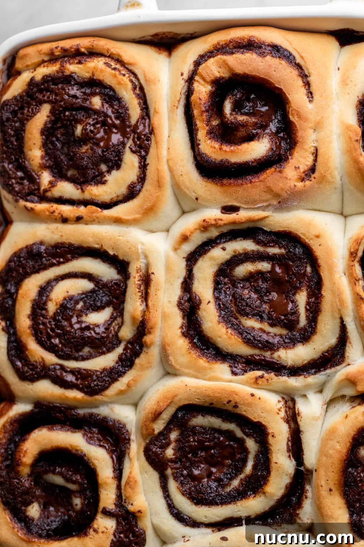 Decadent Chocolate Cinnamon Rolls with Gooey Chocolate Swirl 8 Baked cinnamon rolls in a pan.