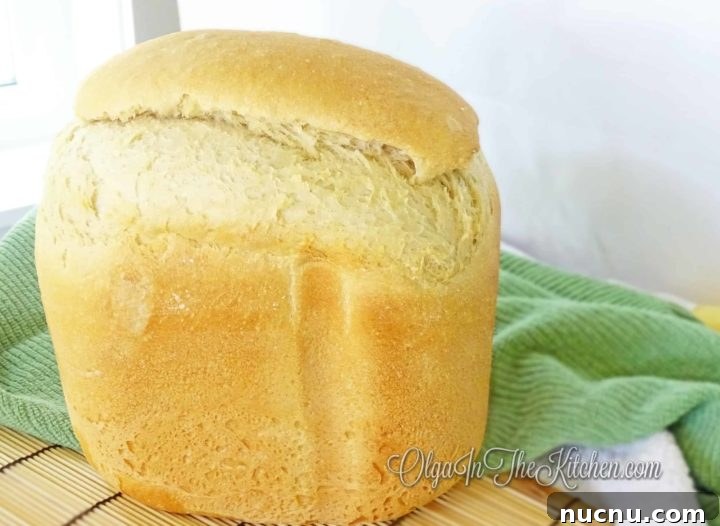 Homemade White Bread for Bread Machines: Soft Loaves Recipe 6 img 424 7
