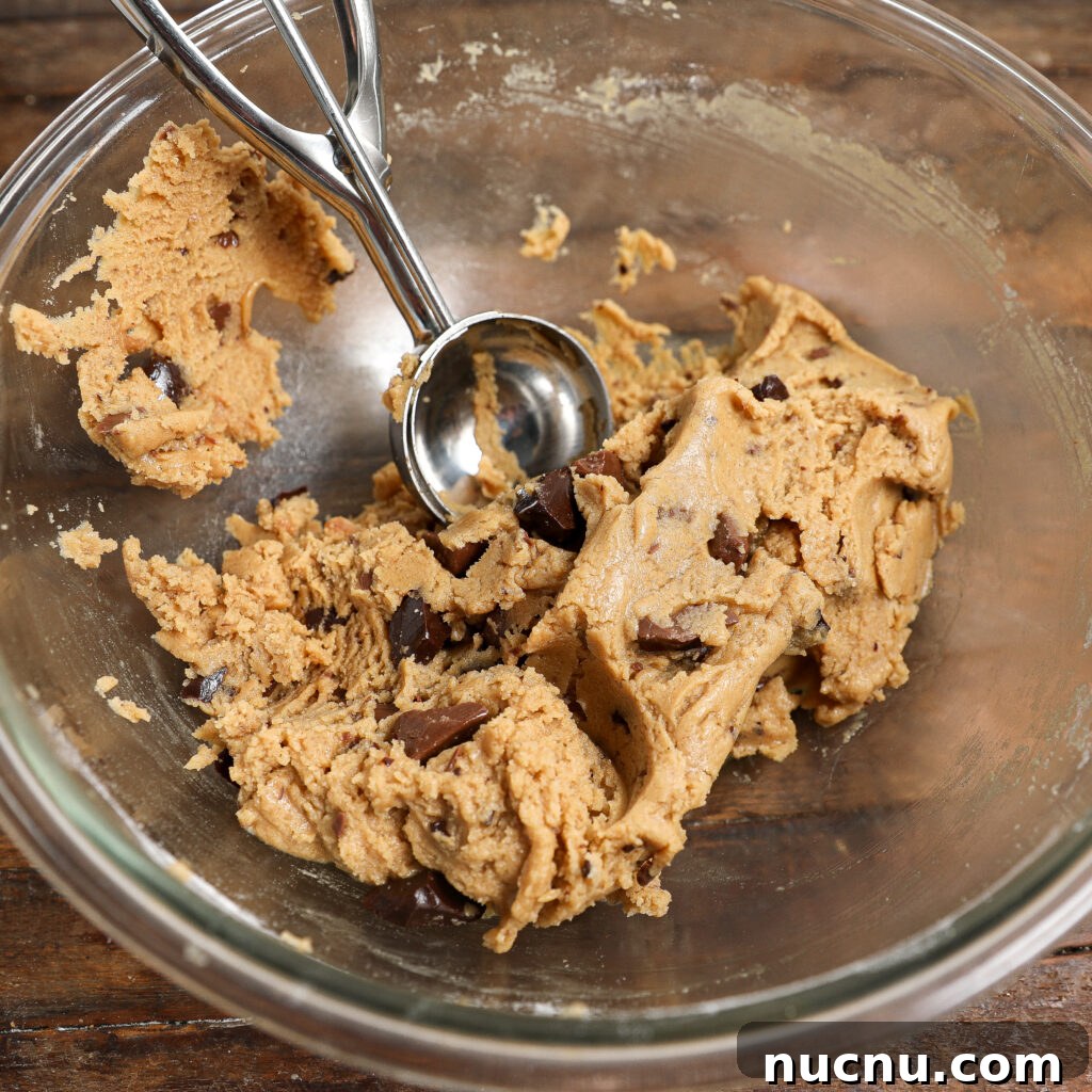 Jacques Torres Browned-Butter Chocolate Chip Cookies (Dipped) 6 img 42625 5