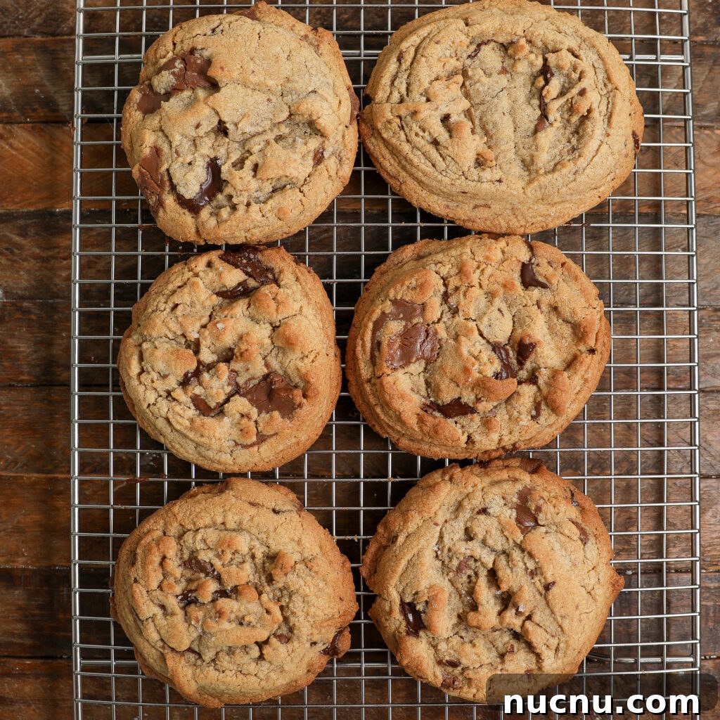 Jacques Torres Browned-Butter Chocolate Chip Cookies (Dipped) 8 img 42625 7