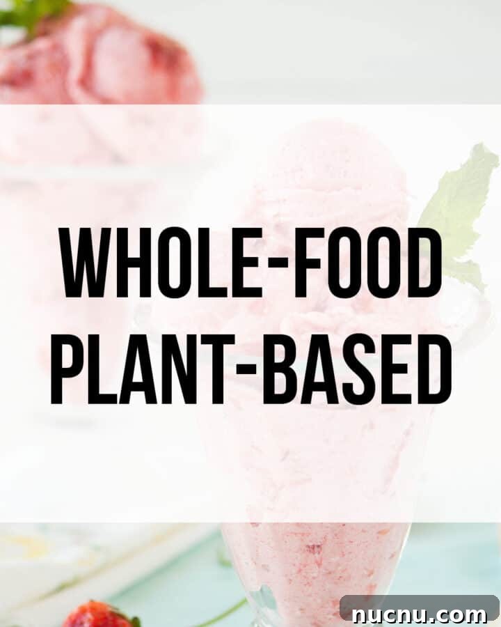 whole-food plant-based recipes