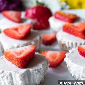 Mini Dairy Free Cheesecakes Side view picture