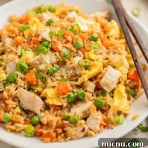 White plate with chicken fried rice topped with sliced scallions.
