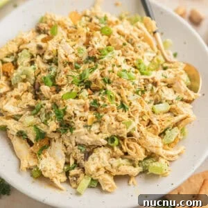 Curry chicken salad on plate with spoon.