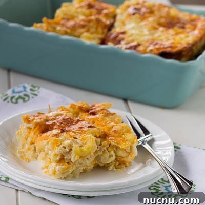 Creamy Baked Macaroni and Cheese Casserole Recipe 2 Slice of macaroni and cheese on a white plate.