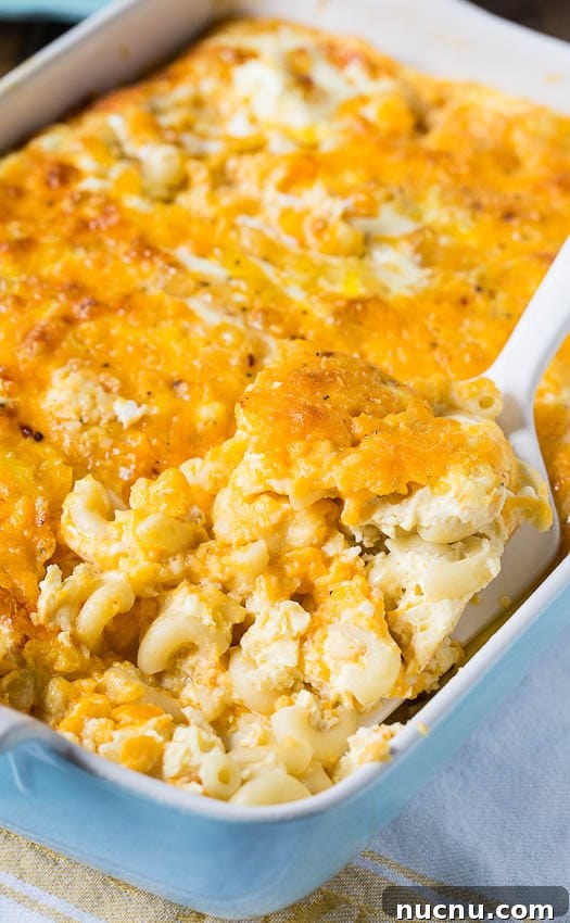 Creamy Baked Macaroni and Cheese Casserole Recipe 3 Baked Custard-Style Mac and Cheese in a baking dish.