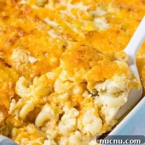Creamy Baked Macaroni and Cheese Casserole Recipe 5 Baked custard-style Macaroni and Cheese