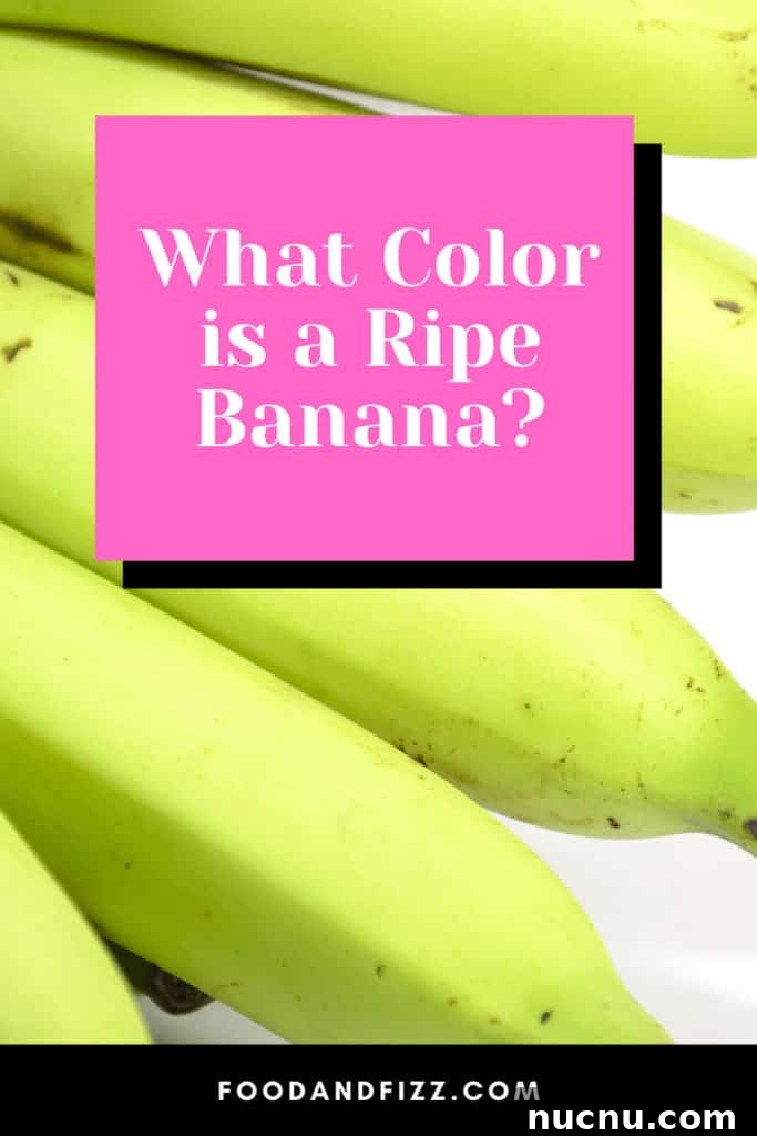 What Color Indicates a Ripe Banana? Simple Ripeness Guide 2 What Color is a Ripe Banana?
