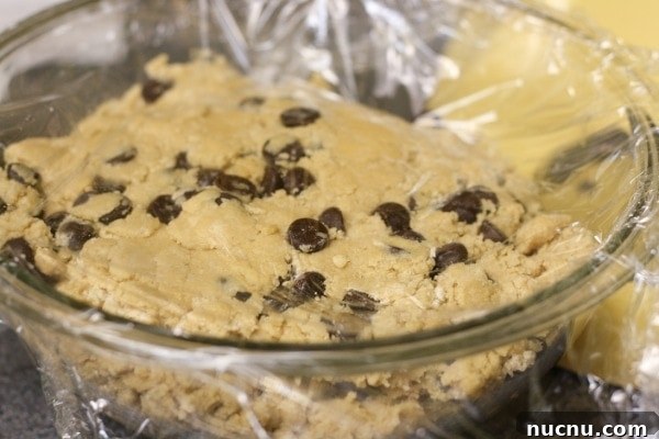 New York Times Chocolate Chip Cookies New York Times Chocolate Chip Cookies