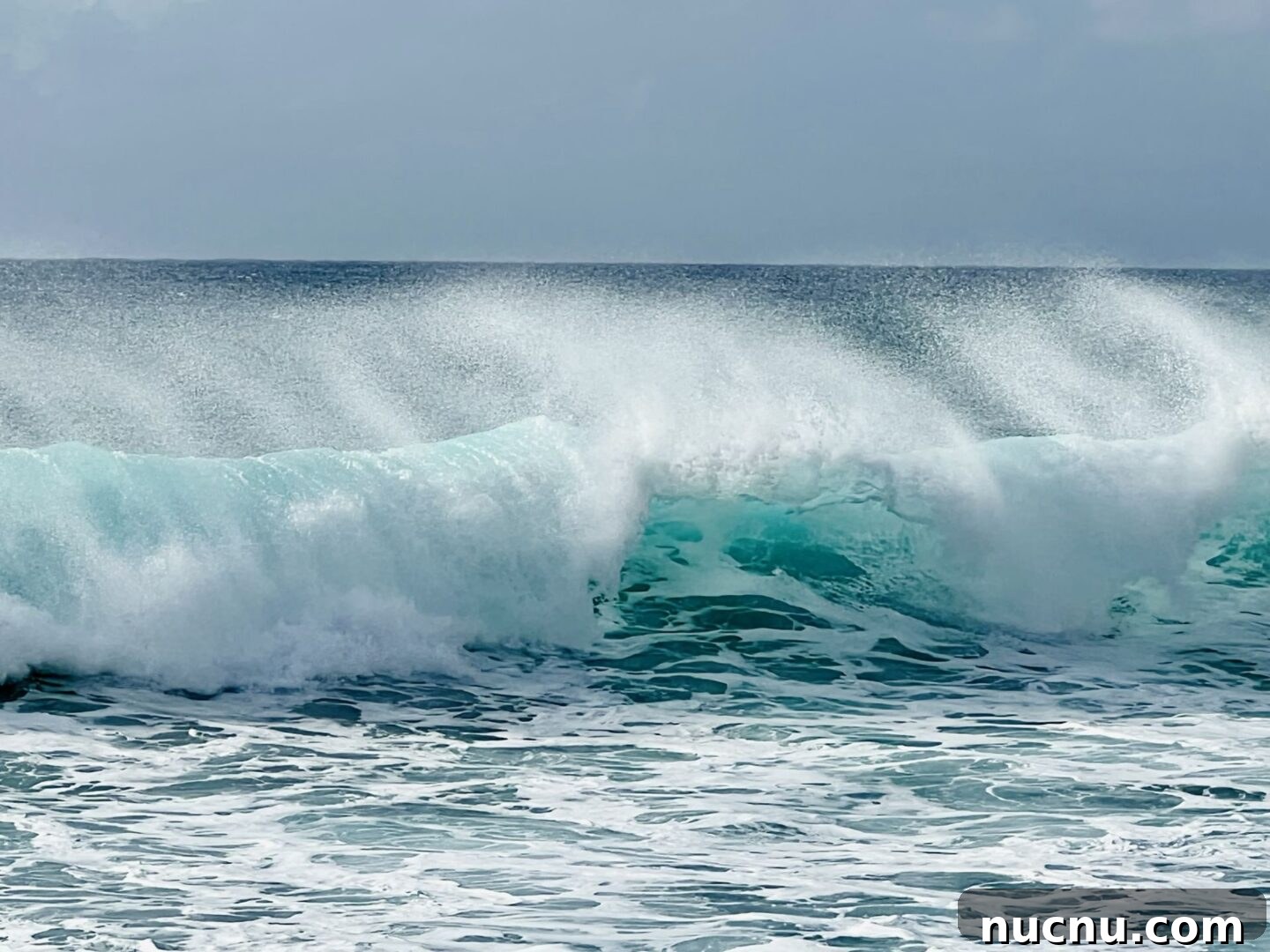 Hawaii travel photo 15