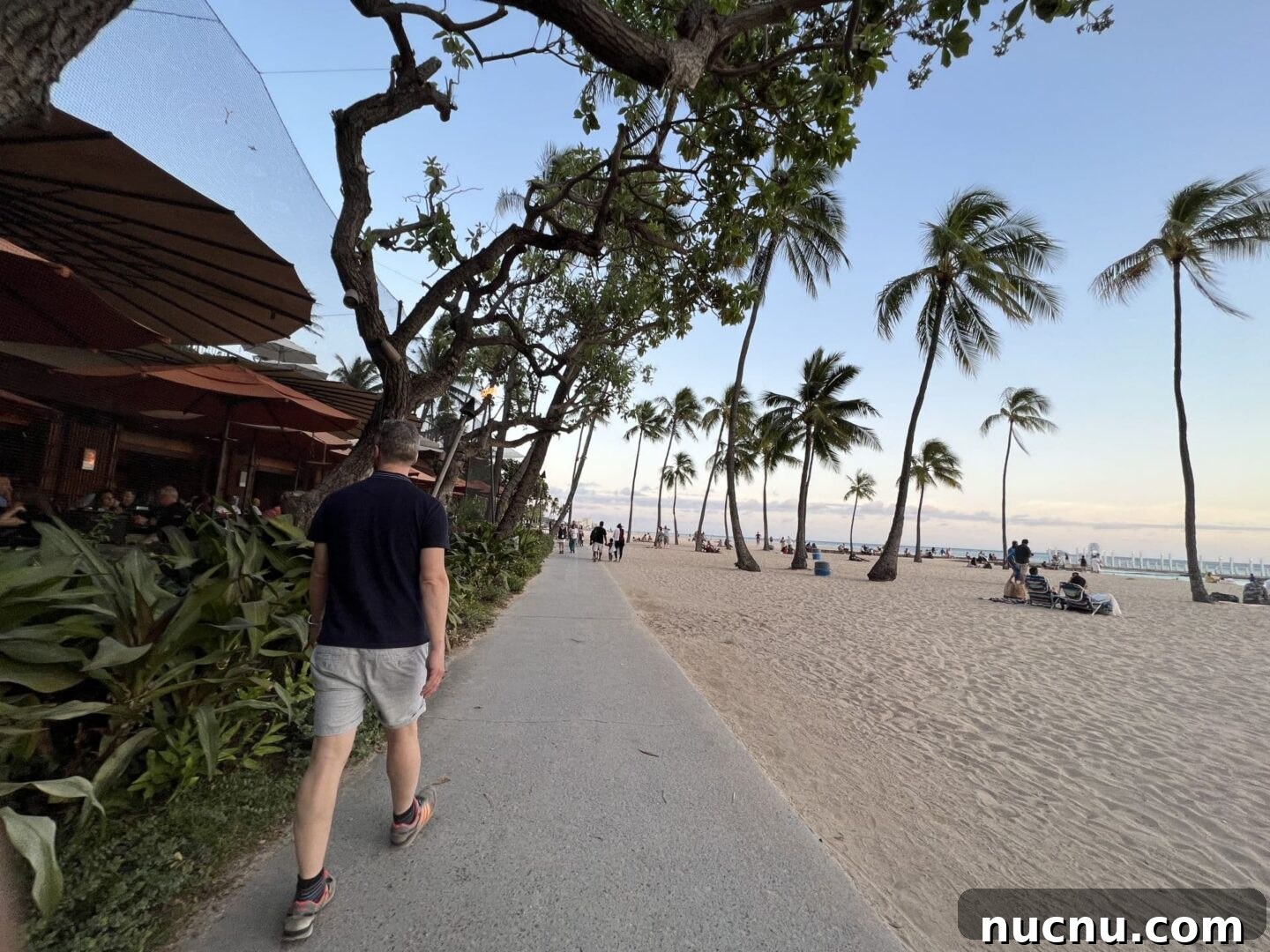 Hawaii travel photo 8