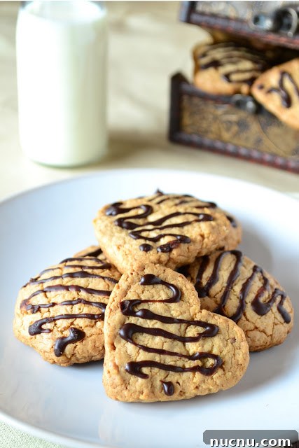 Chewy Oat and Walnut Cookies Recipe 2 Oats & Walnut Cookies with chocolate drizzle.