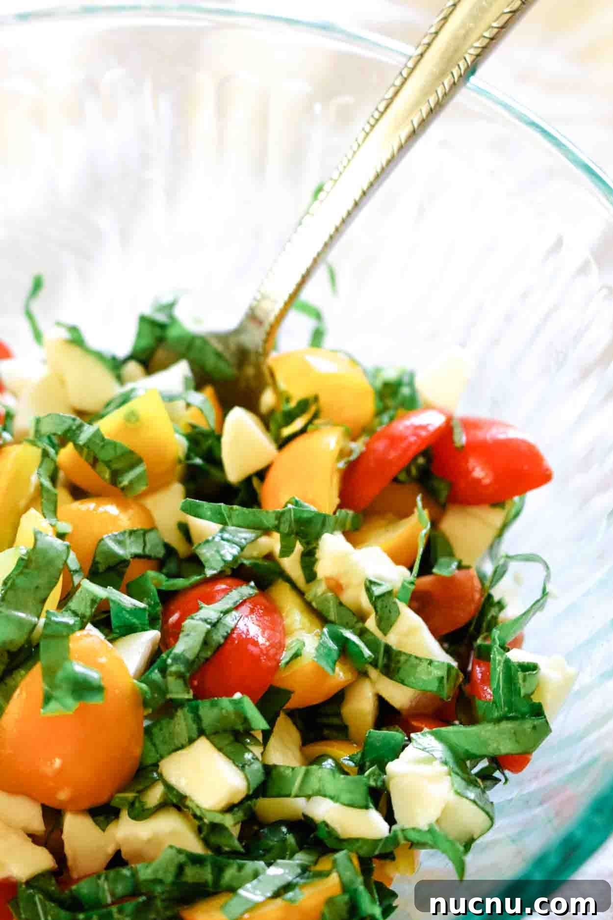 Caprese salad in a bowl with cherry tomatoes, fresh mozzarella and basil.