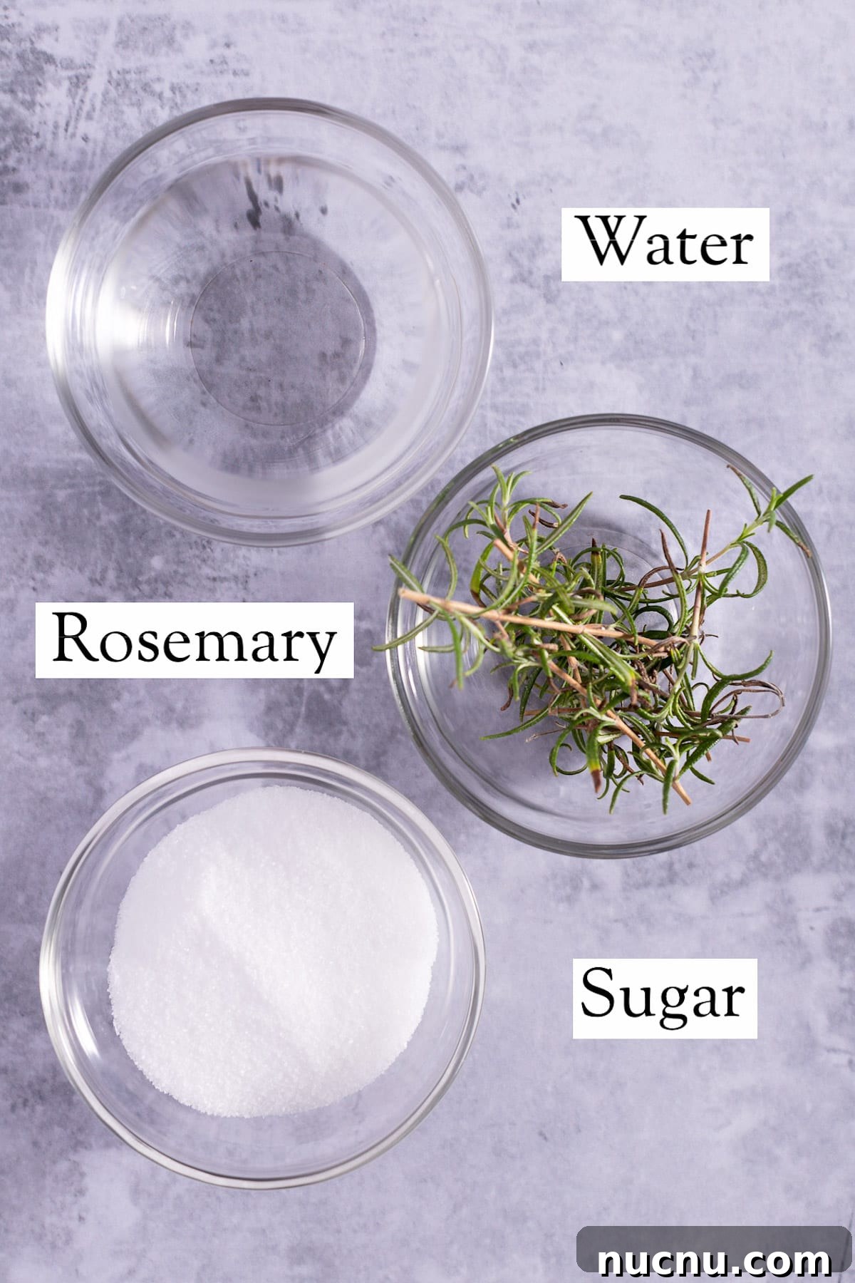 Overhead view of the ingredients needed to make the syrup.