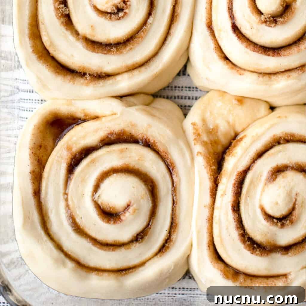 Cinnamon Roll Recipes: Classic, Gooey, and Irresistible Options 7 cinnamon rolls rising in a baking dish,.