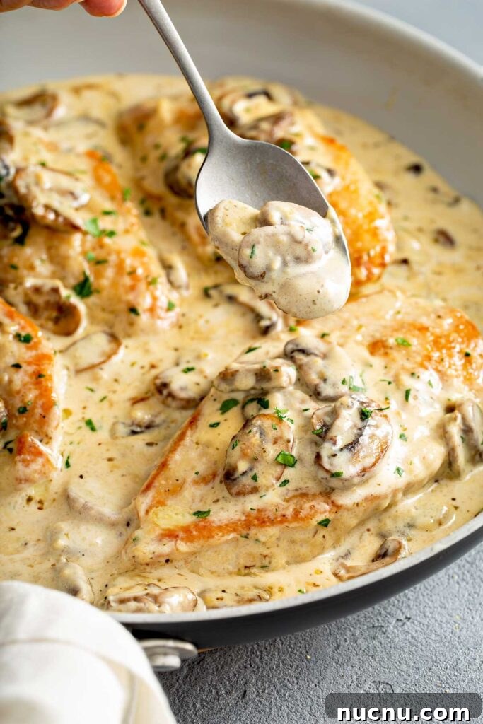 Chicken cutlets with mushrooms in a creamy sauce inside a skillet