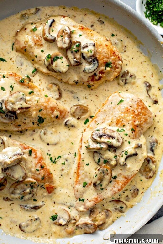 Creamy chicken and mushroom sauce cooking in a skillet