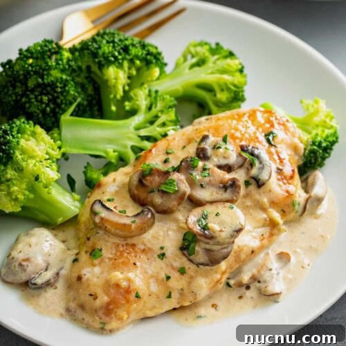 Chicken breast cutlet in mushroom cream sauce served with broccoli on a white plate