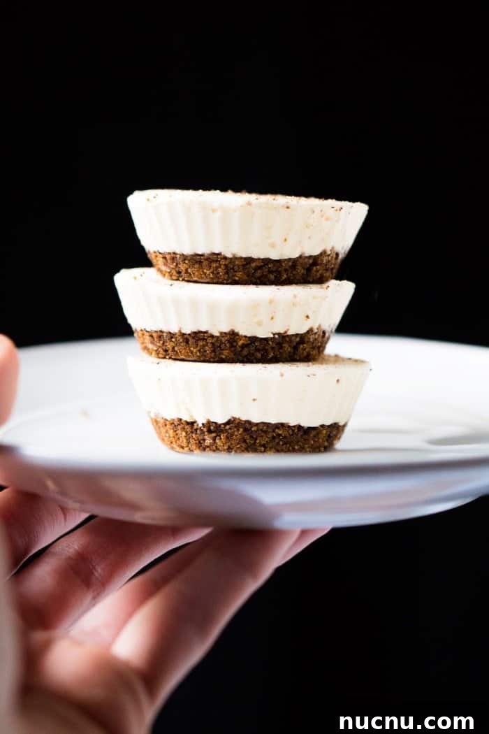 Single-Serve Eggnog No-Bake Cheesecake (Gluten-Free, Keto) 5 No-Bake Keto Eggnog Cheesecake For 1! 🎄 #ketocheesecake #lowcarbcheesecake