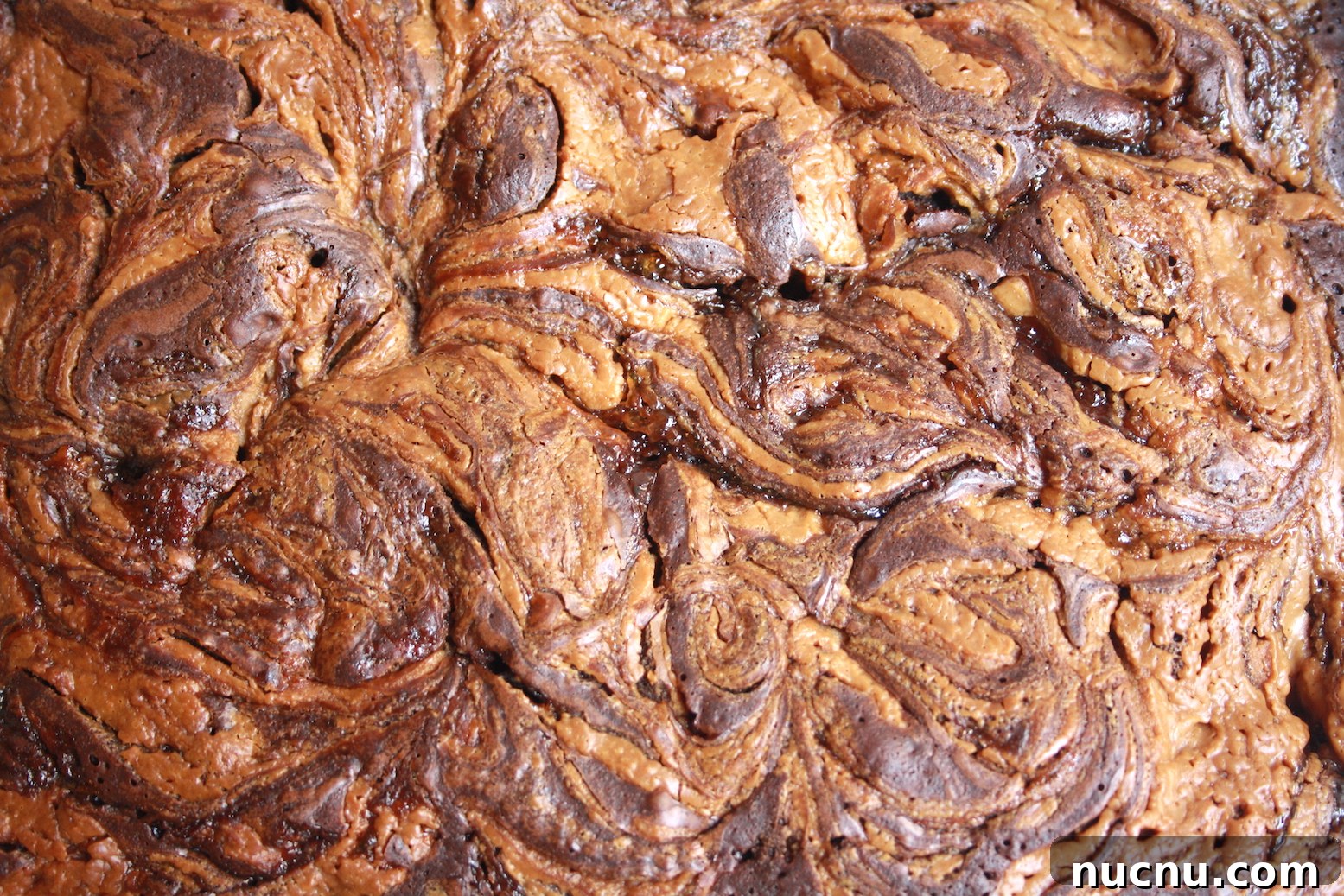 PBJBrownies8