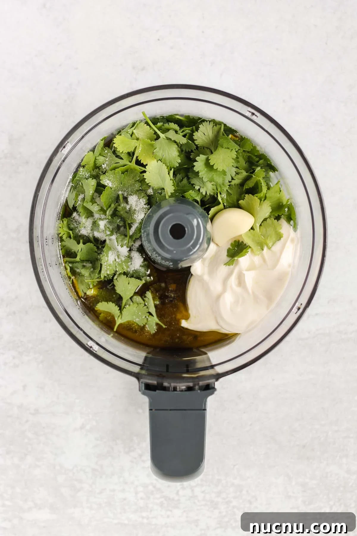 Yogurt, garlic, cilantro, salt, and olive oil in a food processor.