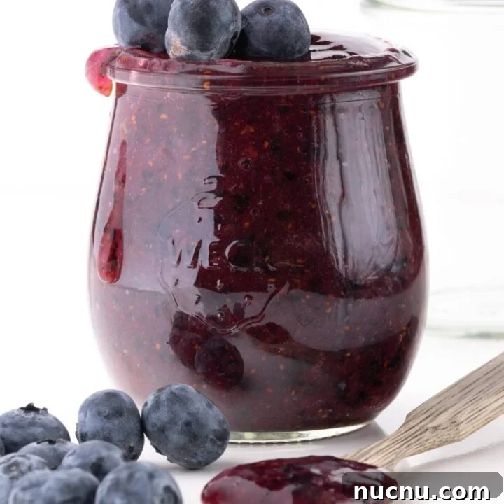 Keto Blueberry Freezer Jam With The Perfect Texture