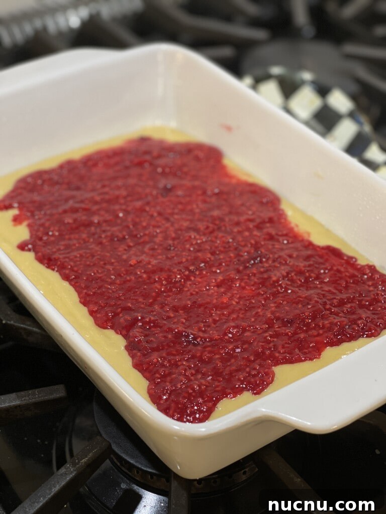 raspberry squares