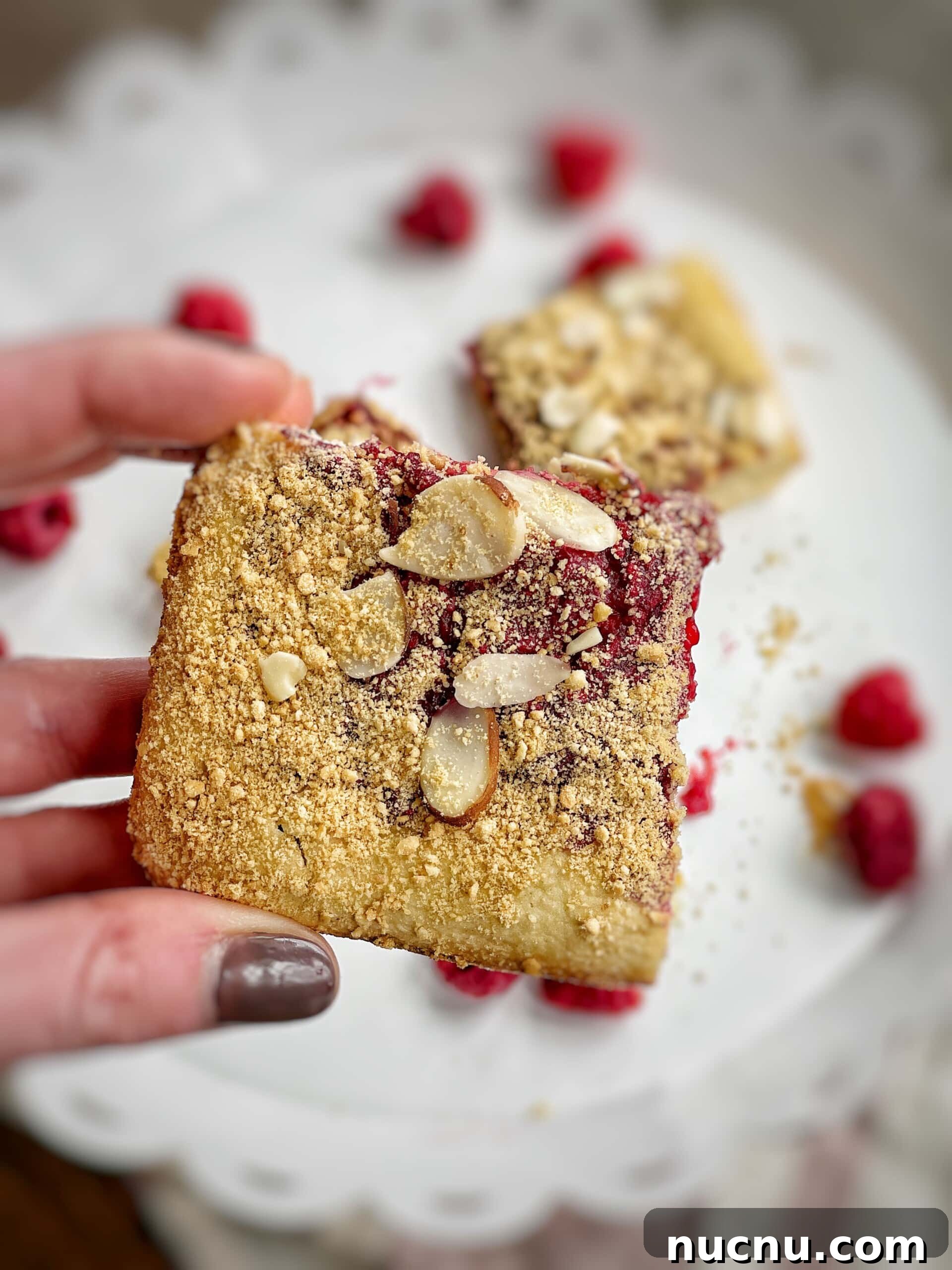 raspberry squares
