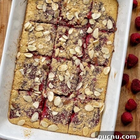 raspberry square