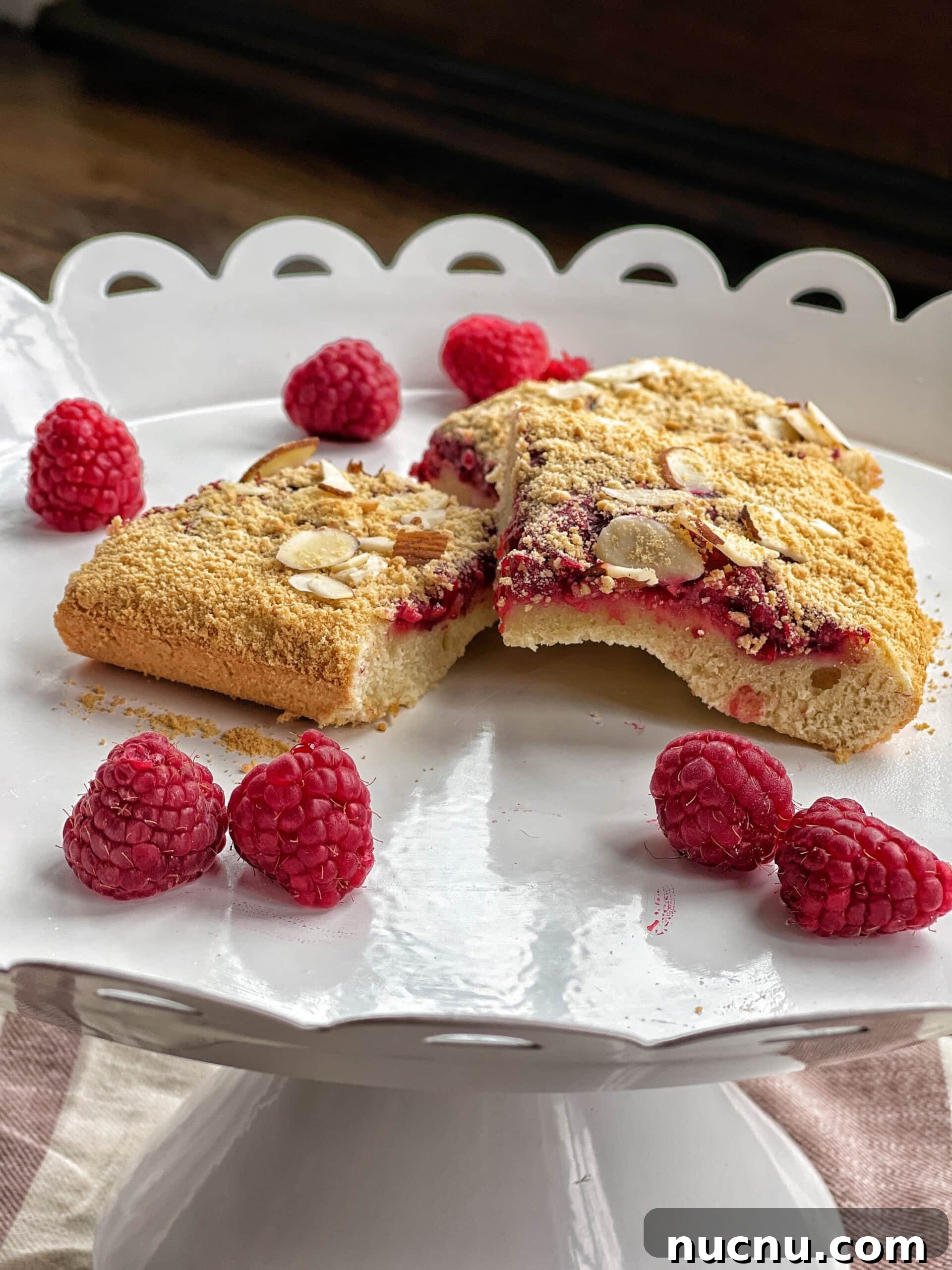 raspberry squares