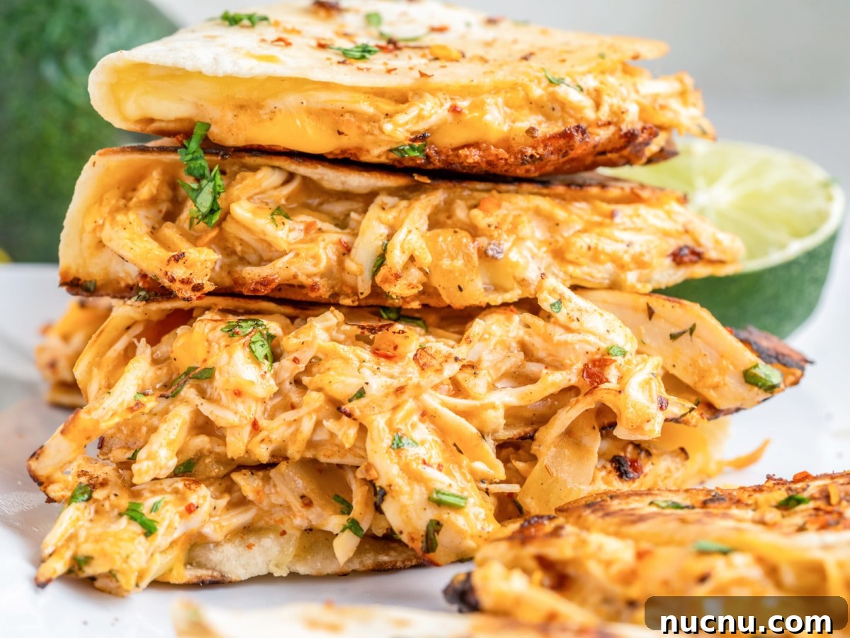 buffalo chicken quesadillas with cilantro