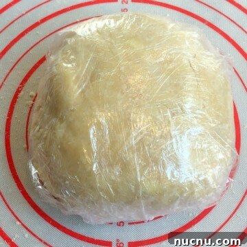 Flaky All-Butter Pie Crust Recipe for Perfect Homemade Pies 12 pie crust discs wrapped in plastic wrap.