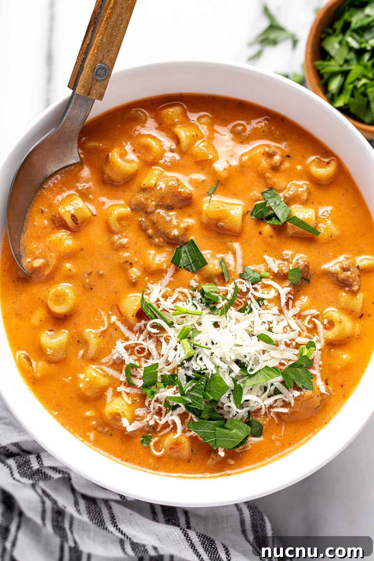 Creamy Beef and Tomato Noodle Soup Recipe 9 Fresh Parmesan and parsley on top of creamy beef and tomato soup.