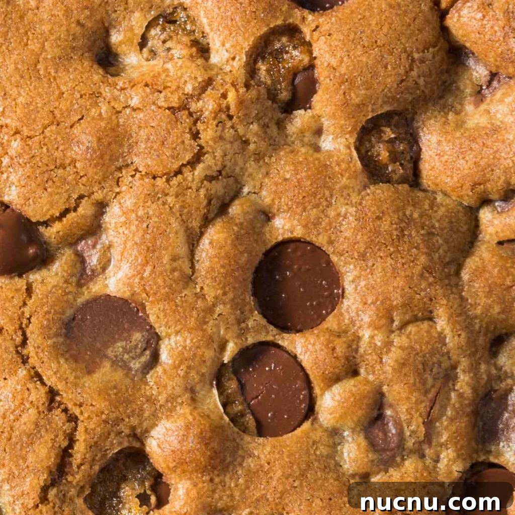 Skillet Chocolate Chip & Toffee Cookie (Pizookie Recipe) 4 a closeup of a skillet cookie