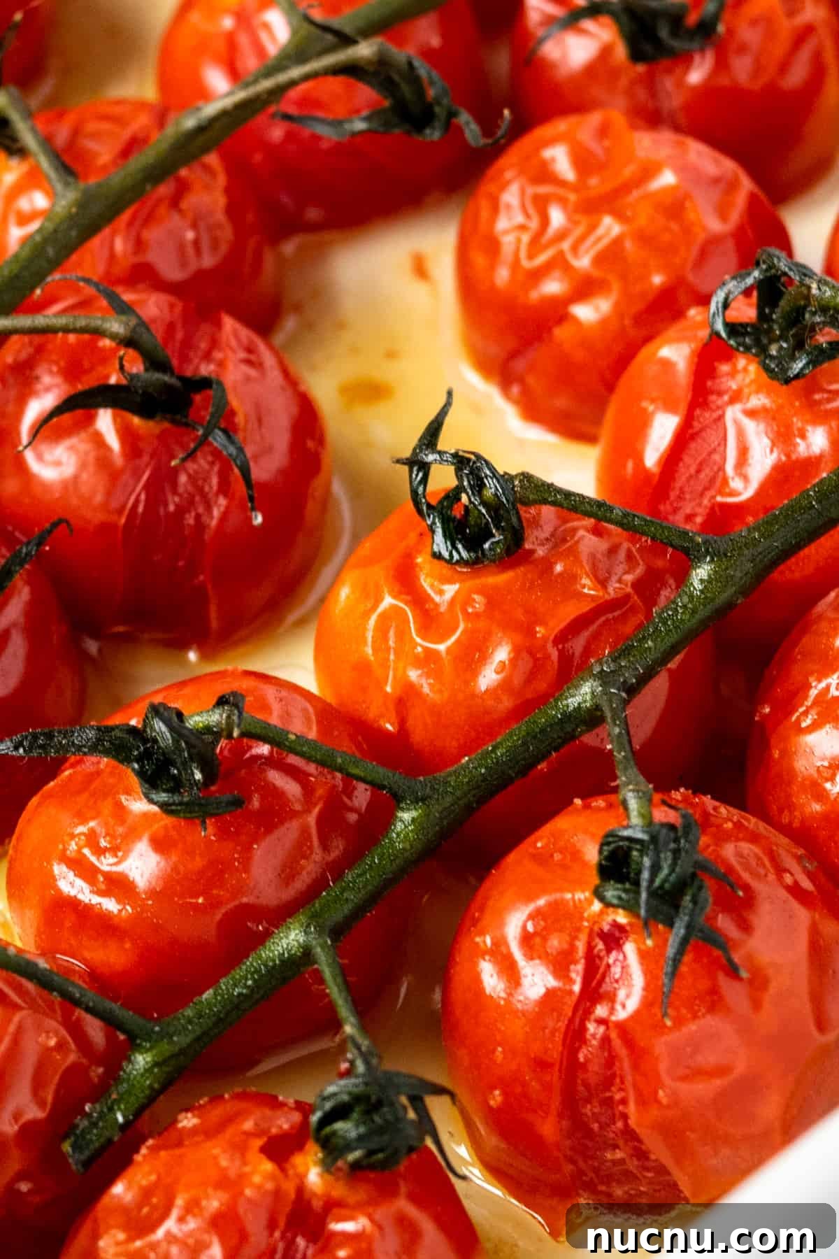 Roasted Tomatoes on the Vine.