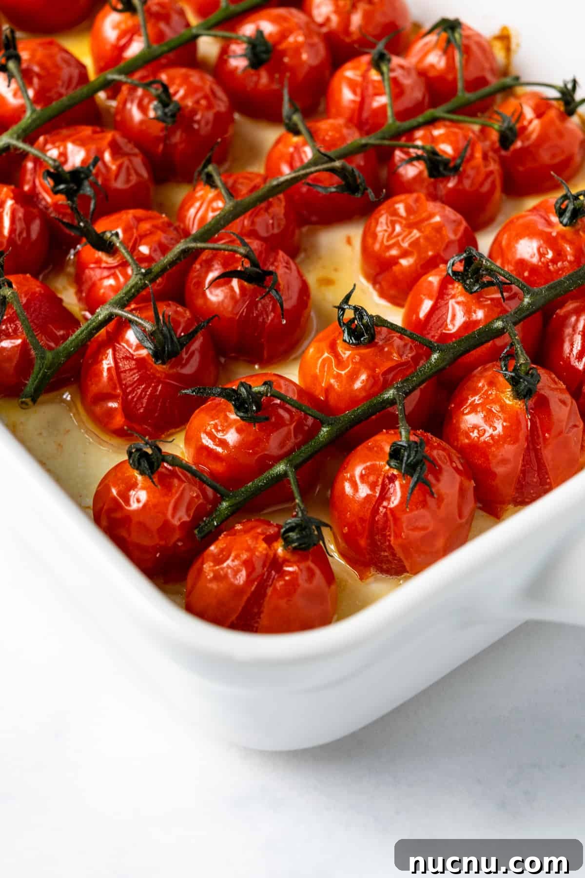 Roasted Tomatoes on the Vine in a white baking dish.