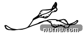 img 7339 4