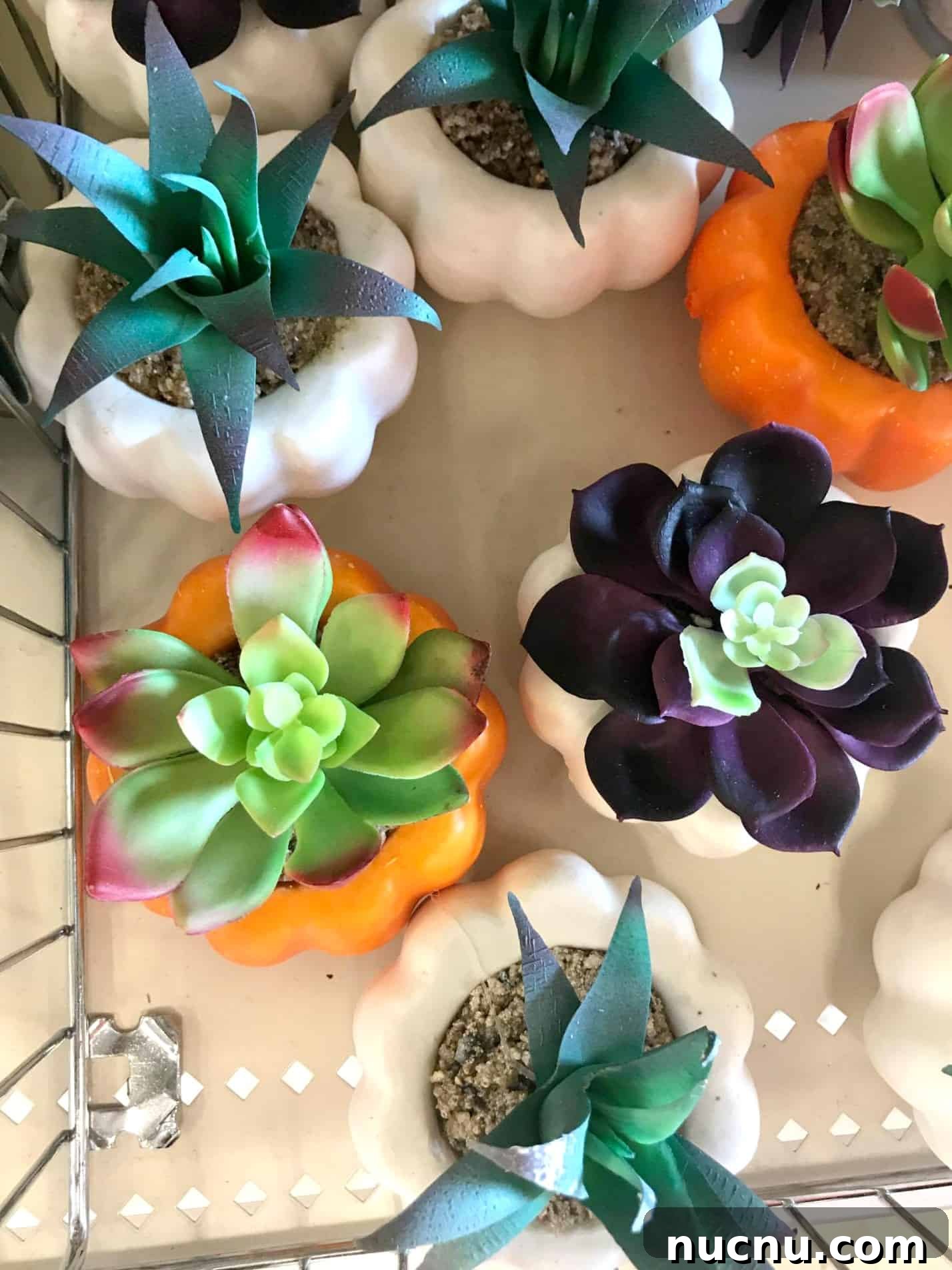 Top Halloween Finds from Dollar Bin Stores 2 img 7438 6
