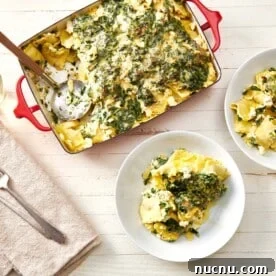 Ultimate Baked Pasta Recipes for Crowd-Pleasing Dinners 16 Fresh Spinach Ravioli Lasagna