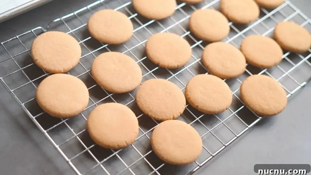 3-Ingredient Brown Sugar Cookies: Quick Soft Cookie Recipe 6 three ingredient cookies without egg