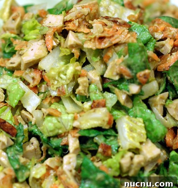 No-Added Oil Avocado Ranch Dressing No-Added Oil Avocado Ranch Dressing