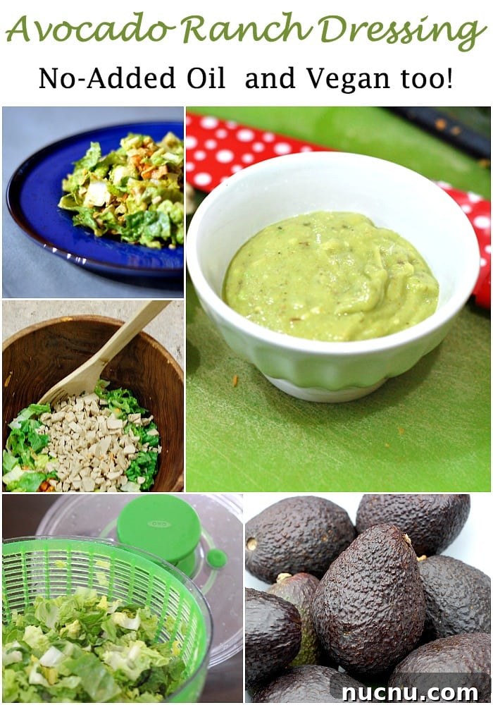 No-Added Oil Avocado Ranch Dressing No-Added Oil Avocado Ranch Dressing