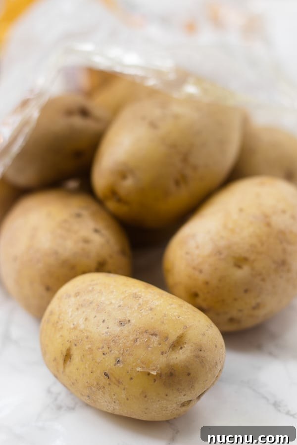 Yellow potatoes for warm roasted potato salad