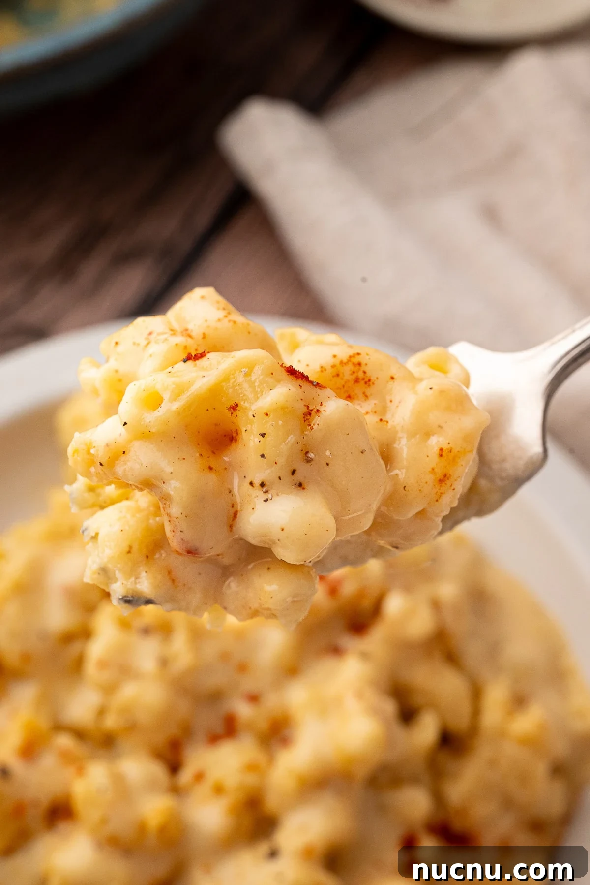 Creamy Stovetop Monterey Jack Mac and Cheese Recipe 7 closeup showing the creamy sauce on the noodle.