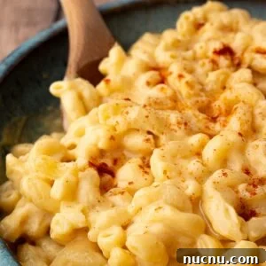 Creamy Stovetop Monterey Jack Mac and Cheese Recipe 10 A closeup shot of creamy macaroni and cheese, topped with paprika.